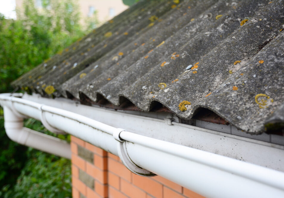 shutterstock_1167655201