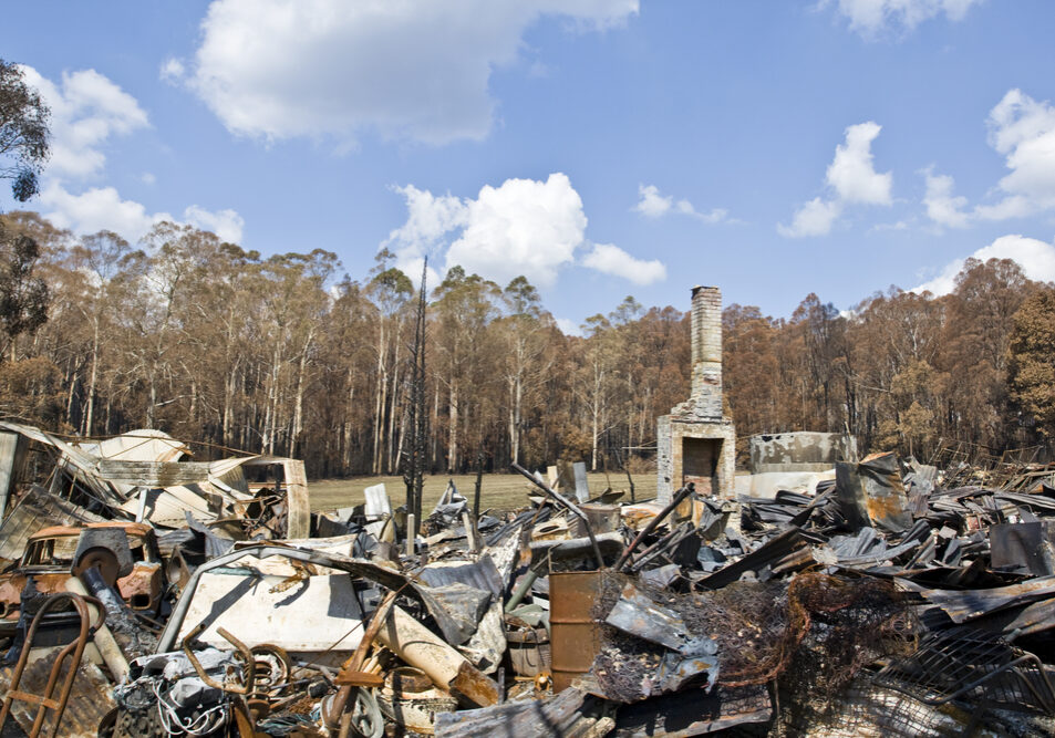 shutterstock_27773170