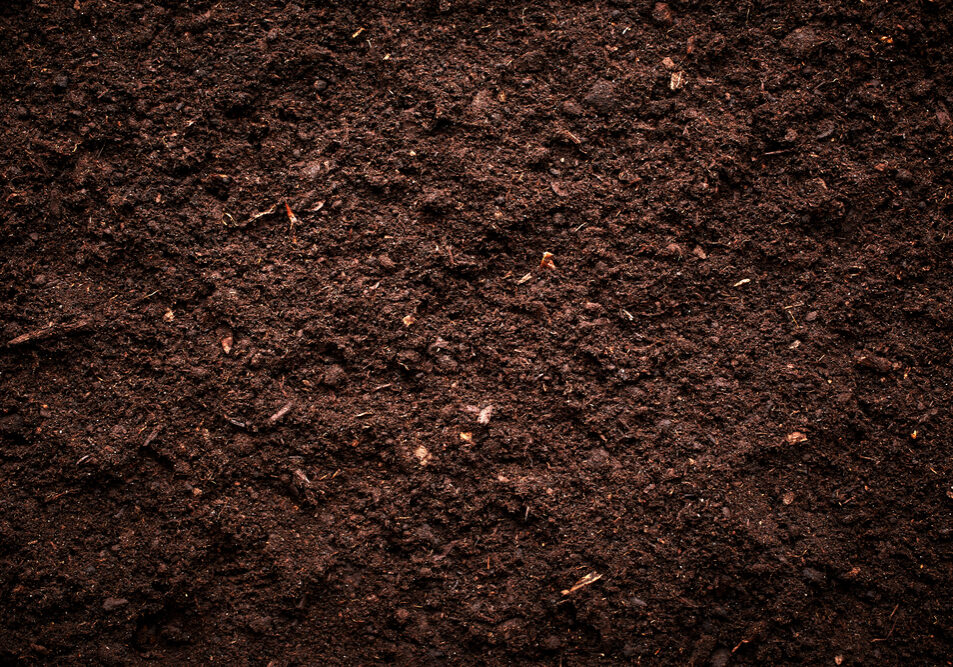 shutterstock_344967551